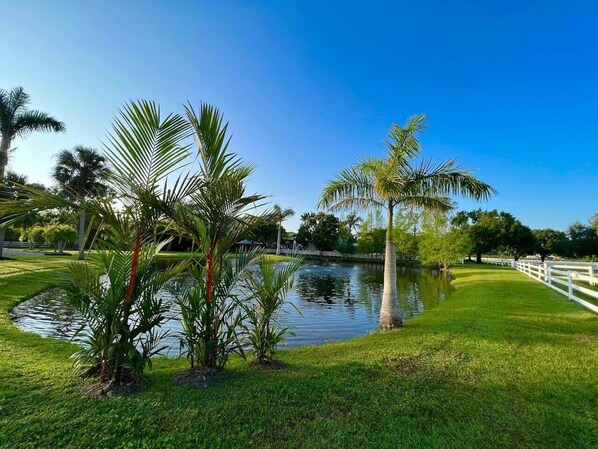 Property grounds - Paradise Ranch Bunkhouse · Horse Ranch Adventures (Fort Myers)