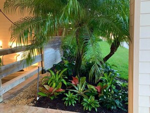 Property grounds - Paradise Ranch Bunkhouse · Horse Ranch Adventures (Fort Myers)