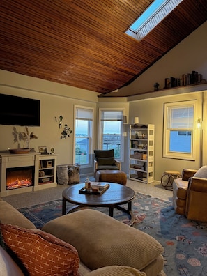 Smart TV, fireplace, books
