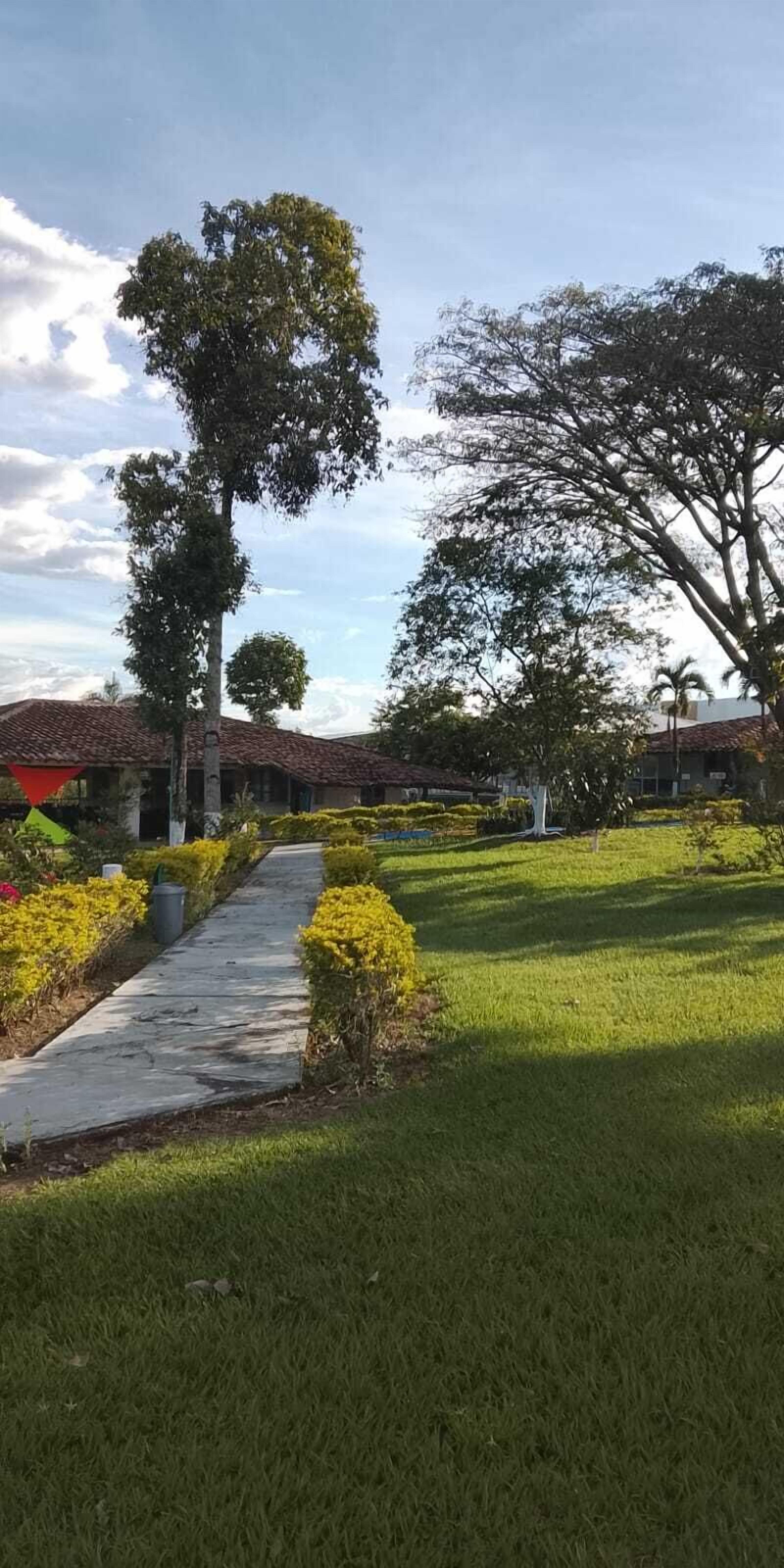 Vista desde la propiedad