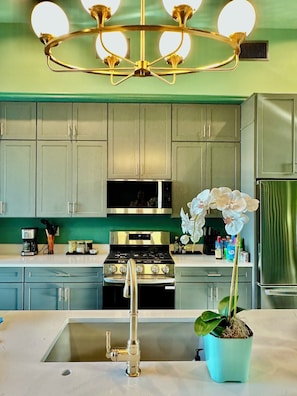 Microwave, oven, stovetop, dishwasher