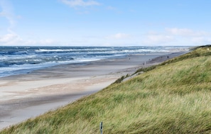 Beach nearby, fishing