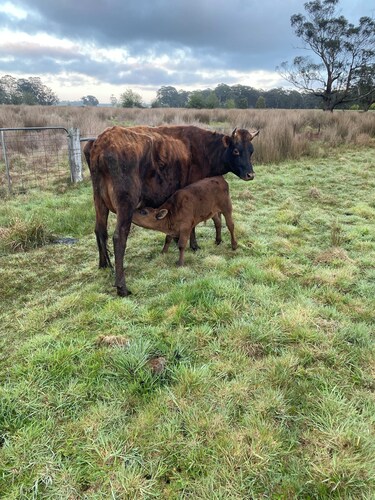 Cosy little farm stay