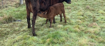 Cosy little farm stay