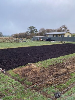 Miscellaneous - Cosy little farm stay (Bullarook)