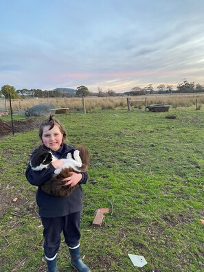 Pet-friendly - Cosy little farm stay (Bullarook)