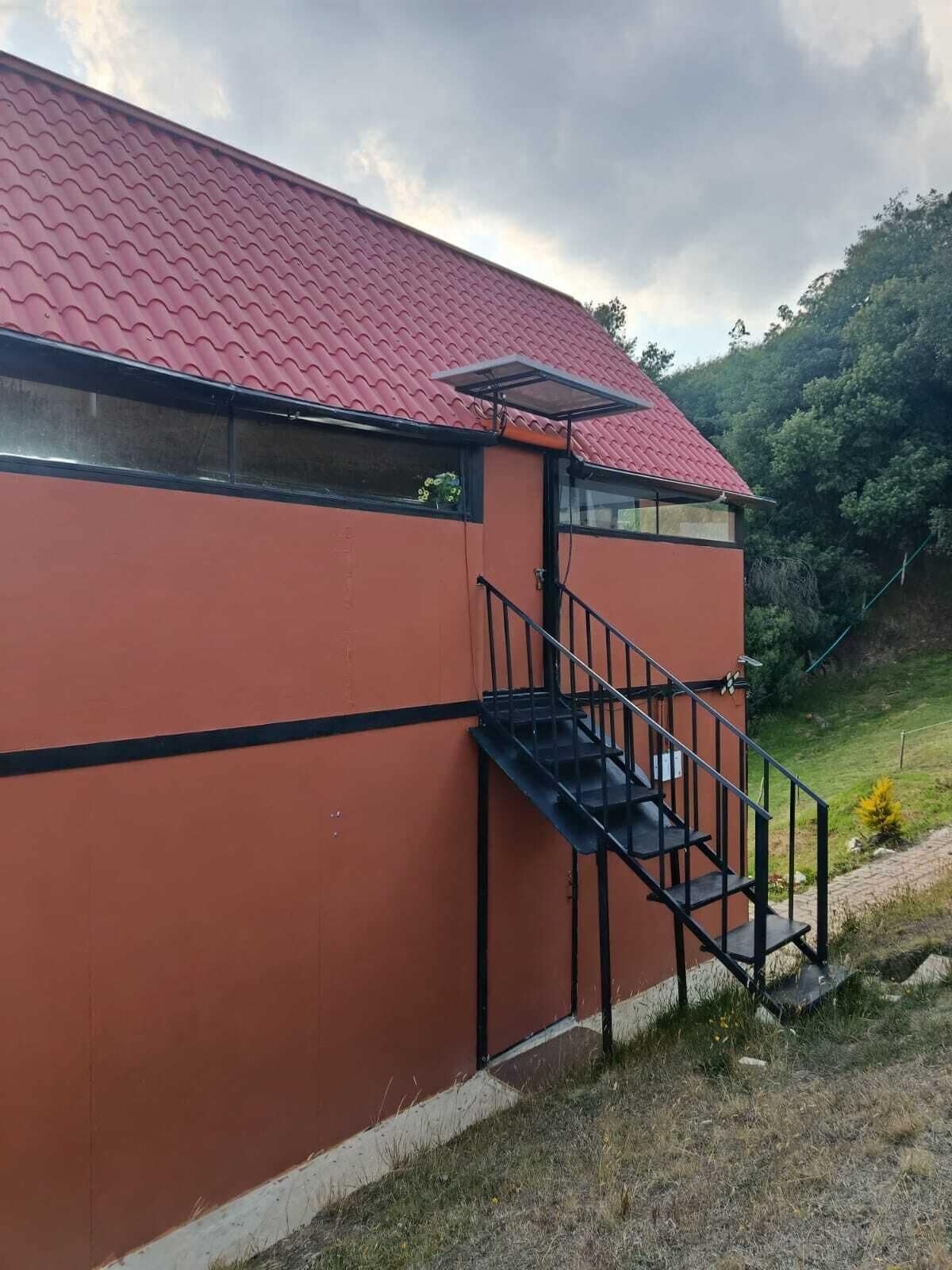 A building with a red roof, a black staircase, and a small window with plants.