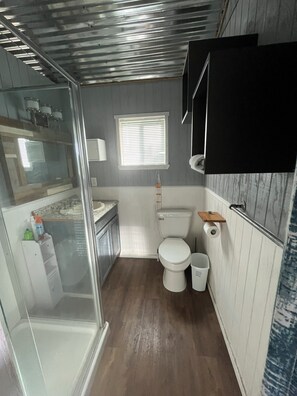 Shower, towels, toilet paper