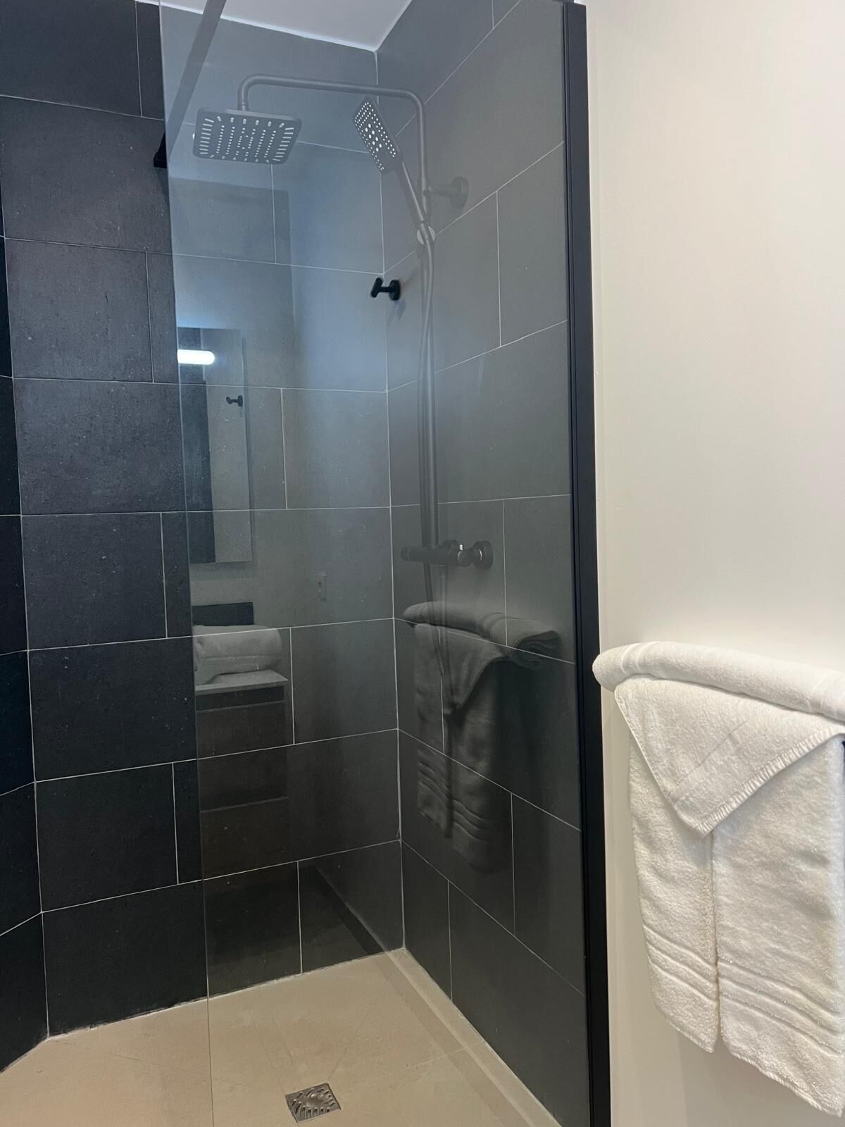 Shower, free toiletries, hair dryer, towels