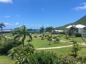 Premium Suite, Garden View | In-room safe, blackout drapes, free WiFi