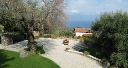 The Wonder - By the Sea