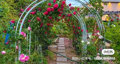 Cozy 2BR Villa · Garden View · Near Beach, local specialties Provided as gift