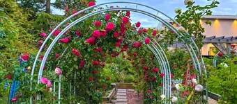 Cozy 2BR Villa · Garden View · Near Beach, local specialties Provided as gift