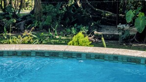 Une piscine entourée d’une végétation luxuriante et d’un grand arbre.