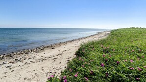 Una playa con arena dorada y vegetación verde.