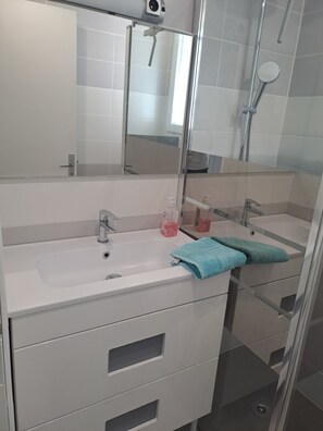 Regadera, secadora de cabello, papel de baño 