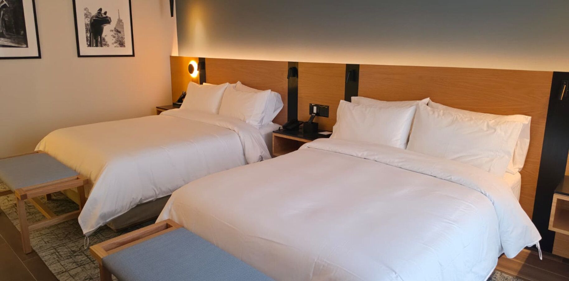 Chambre Standard, 2 grands lits