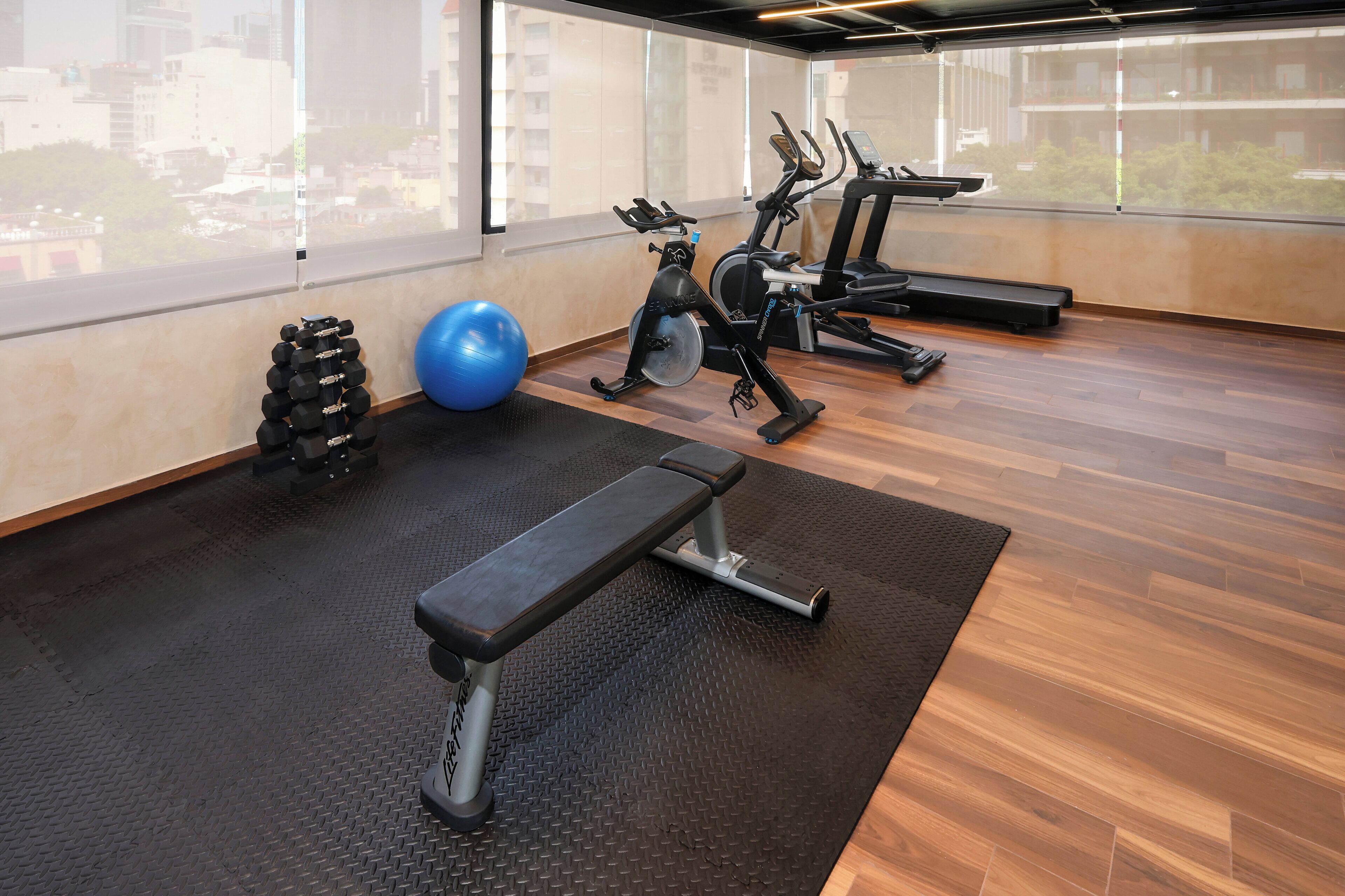 Un gimnasio con equipo de ejercicio, una banca y una pelota de ejercicio azul.