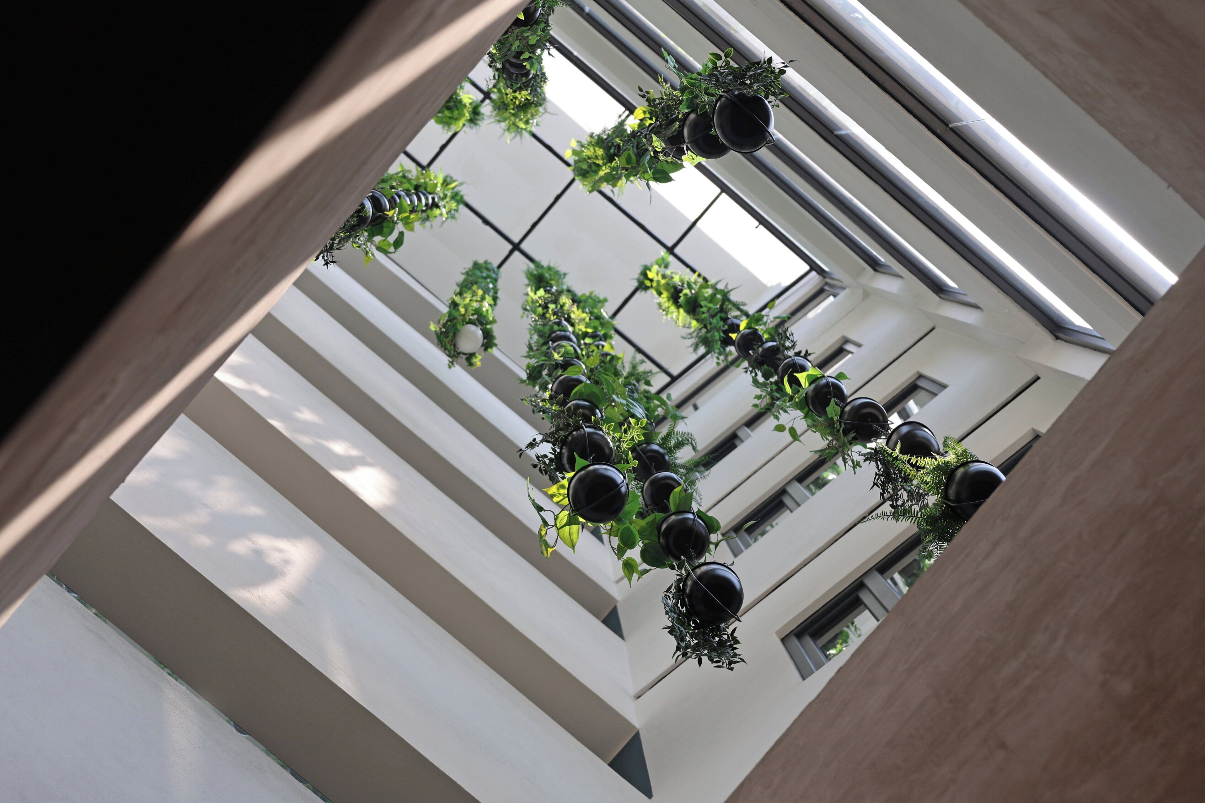 A view of a building's interior with multiple floors, large windows, and hanging planters with greenery.