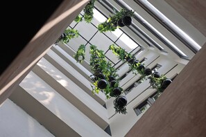 A view of a building's interior with multiple floors, large windows, and hanging planters with greenery.