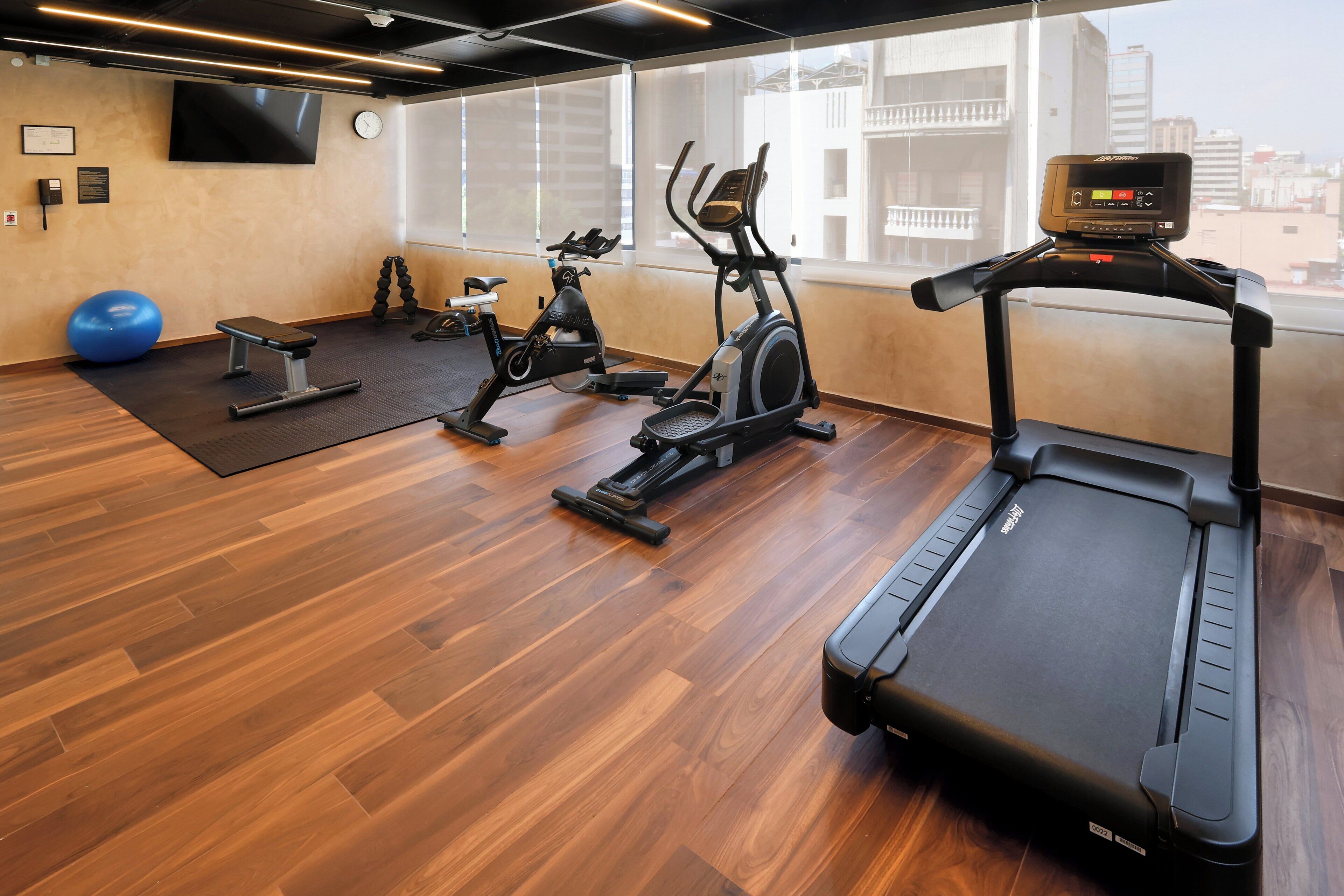 A gym with treadmills, elliptical machines, a stationary bike, a blue exercise ball, and a bench.