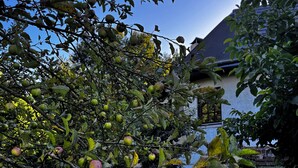 A tree with green and pink apples, a stone wall, and a house with a tiled roof. - Private suite with sauna and garden (Etzling)