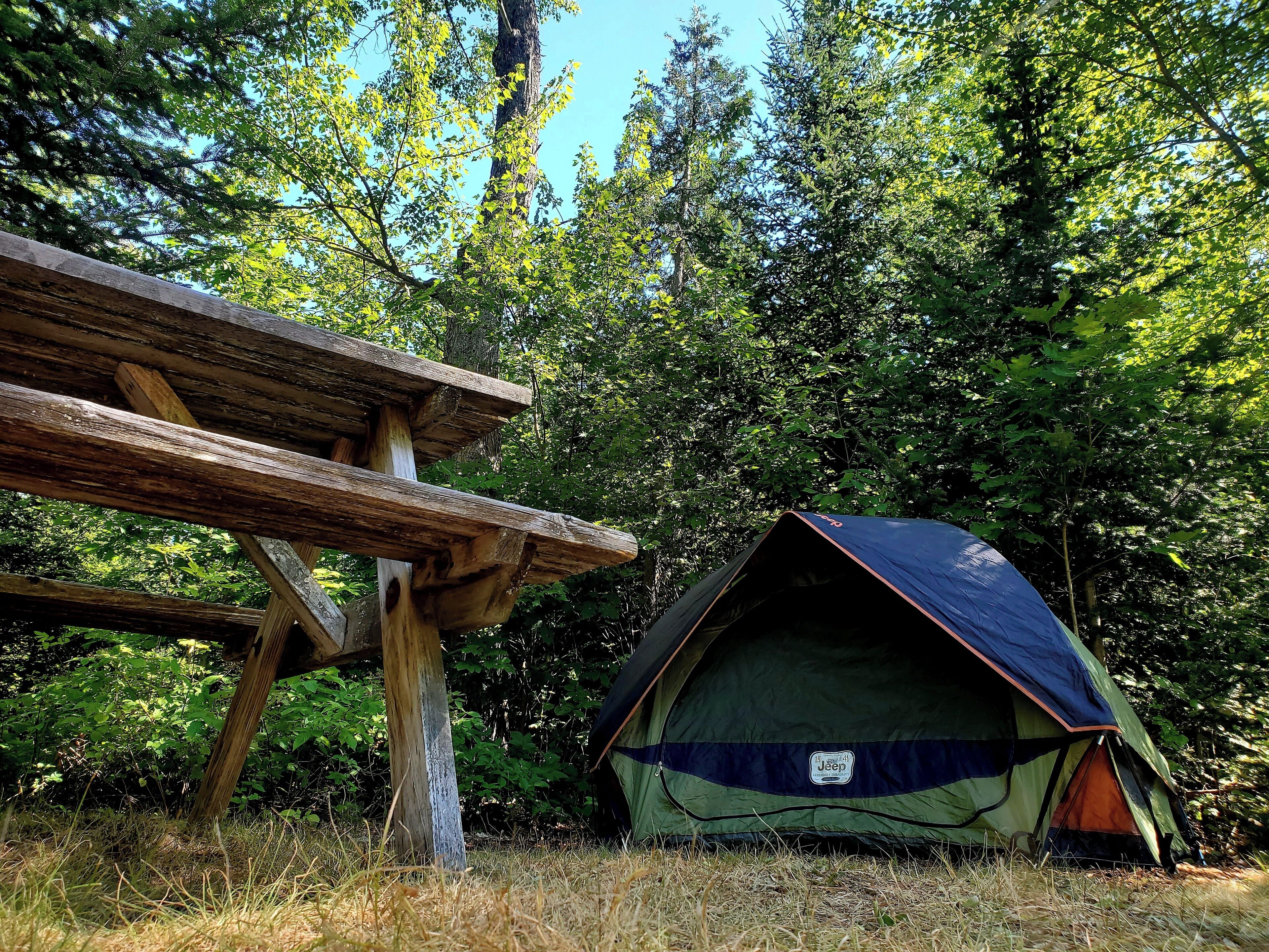 Una tenda montata in una zona boschiva con un tavolo da picnic in legno nelle vicinanze.