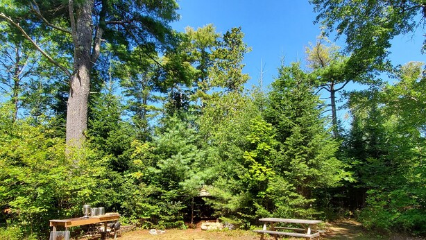 A forested campsite with picnic tables and a fire pit. - Chickadee Hollow: Rustic Eco Camping near Acadia National Park! (Surry)