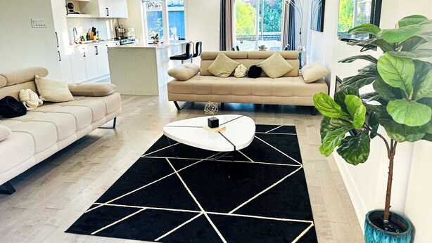 A modern living room with a sofa, a coffee table, and a large plant.