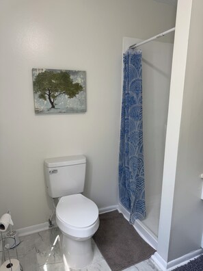 Douche, sèche-cheveux, serviettes fournies, papier toilette
