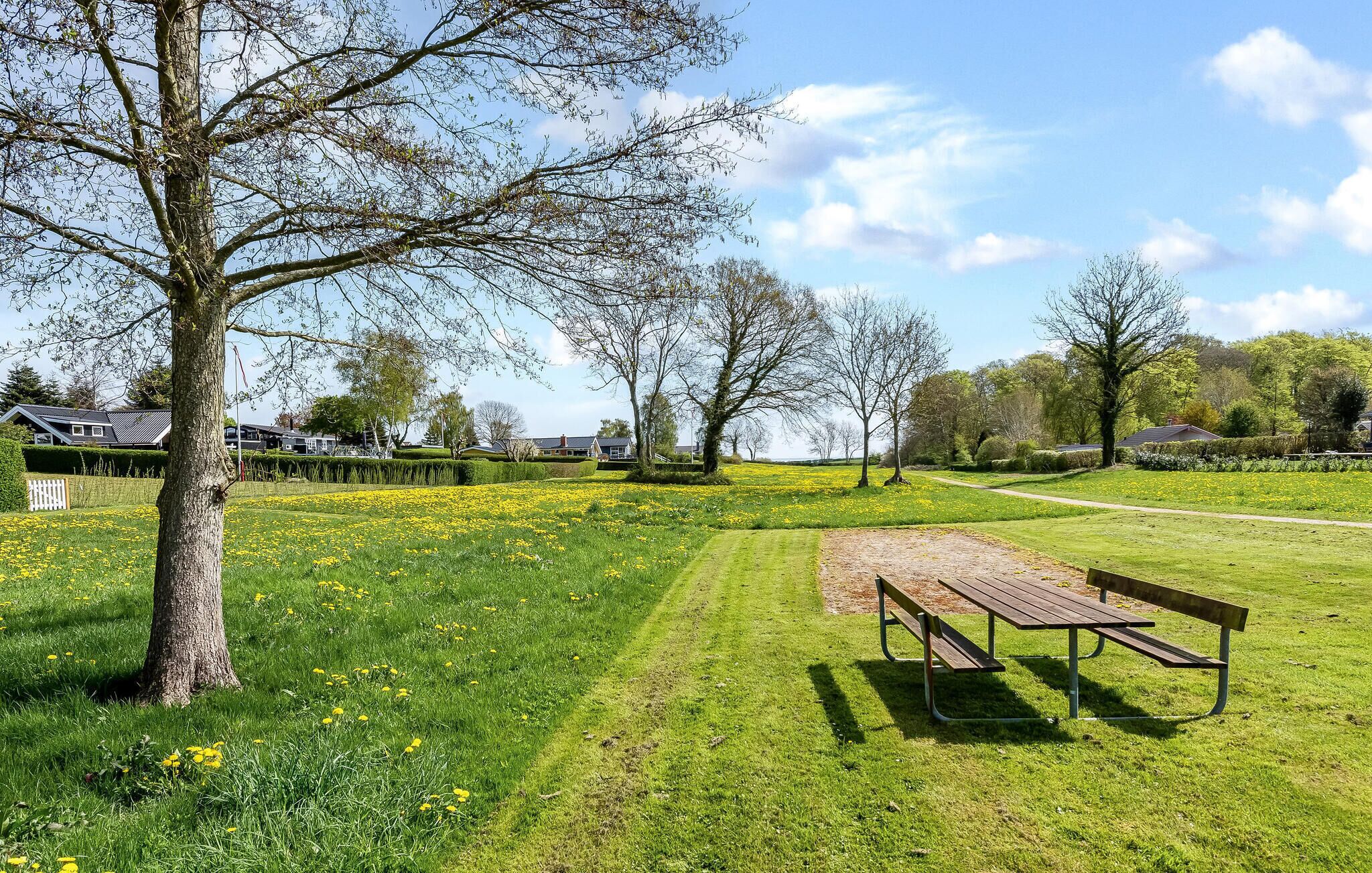 A park with a bench, a grassy area with yellow flowers, and trees.