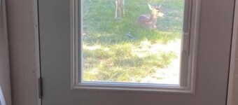 Enjoy "White River Retreat" at White River Reservoir!