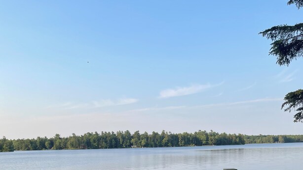 A wooden dock leading to a calm lake with a forest in the background.