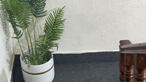 A staircase with a potted plant on the left and wooden balusters on the right.