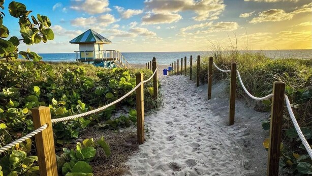 A sandy beach path leading to a beach hut with a blue roof, surrounded by greenery and a clear sky. - Spacious delray suite (Delray Beach)