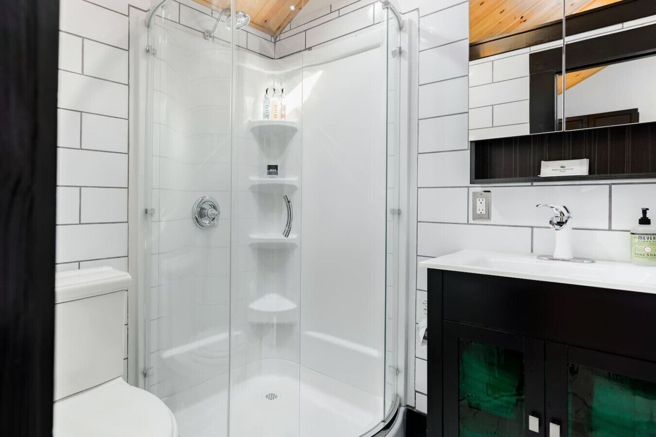 Shower, hair dryer