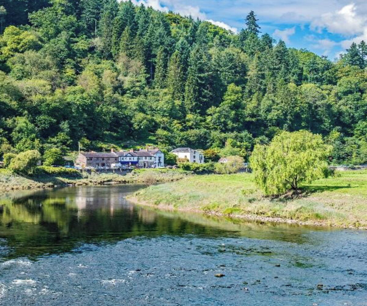 A riverside view with a house by the water.
