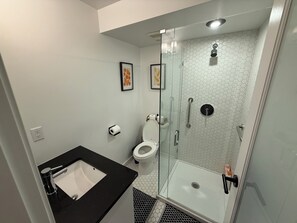 Shower, hair dryer, soap, toilet paper