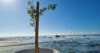 Apê Duplex na beira-mar de Pajuçara