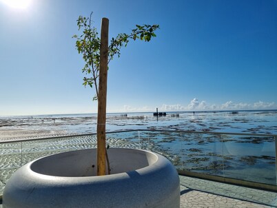 Apê Duplex na beira-mar de Pajuçara