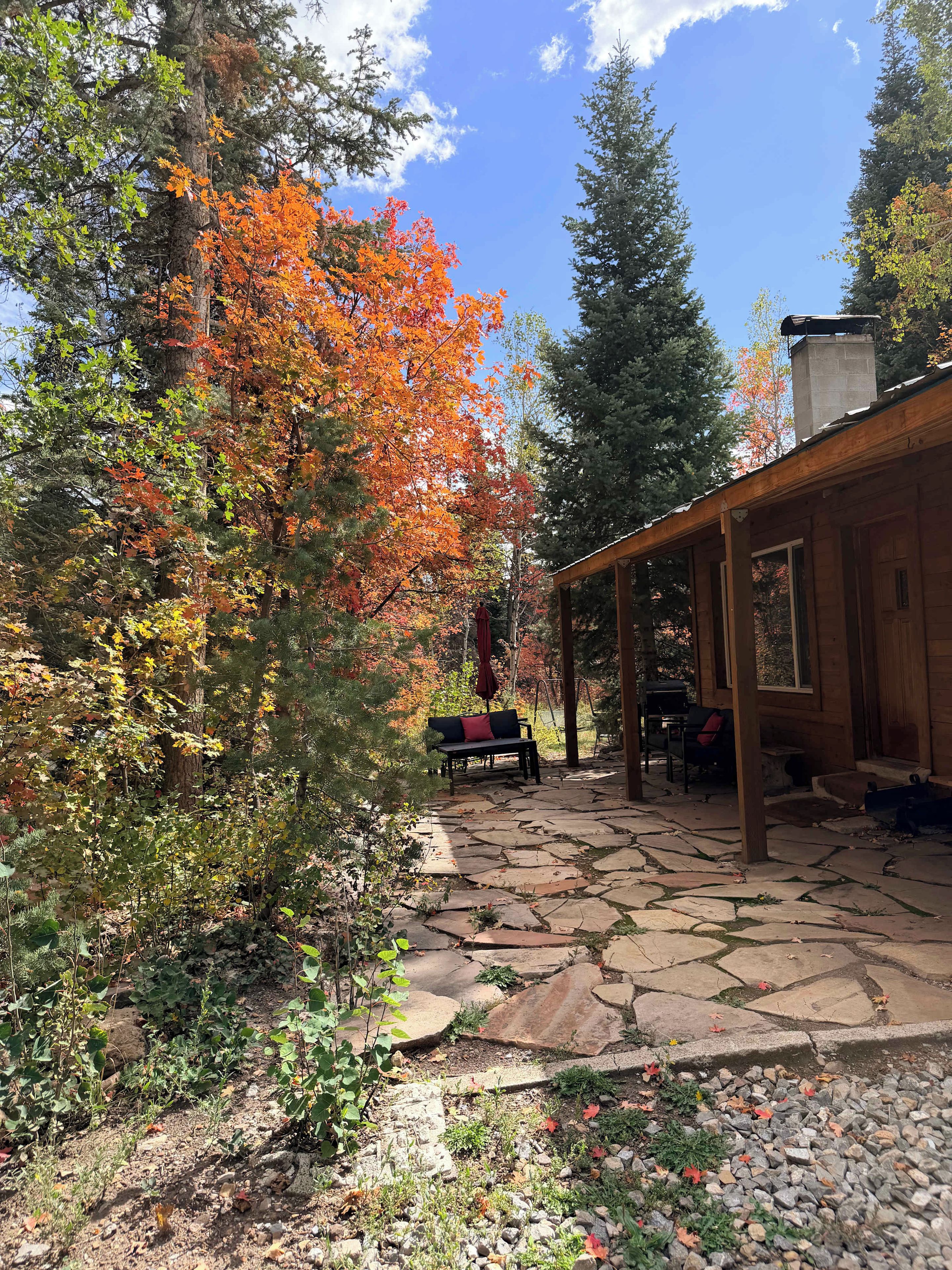 Une cabane en bois dotée d’un patio en pierre, entourée d’arbres aux feuilles d’automne.