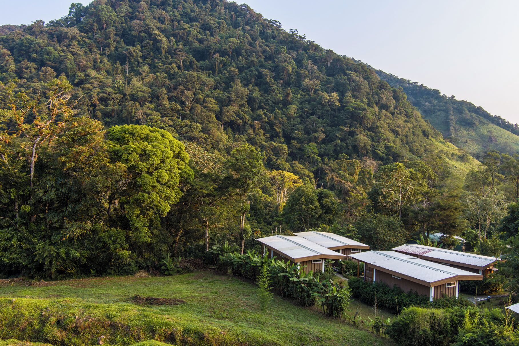 A rural setting with two buildings surrounded by lush greenery and a forested hill.
