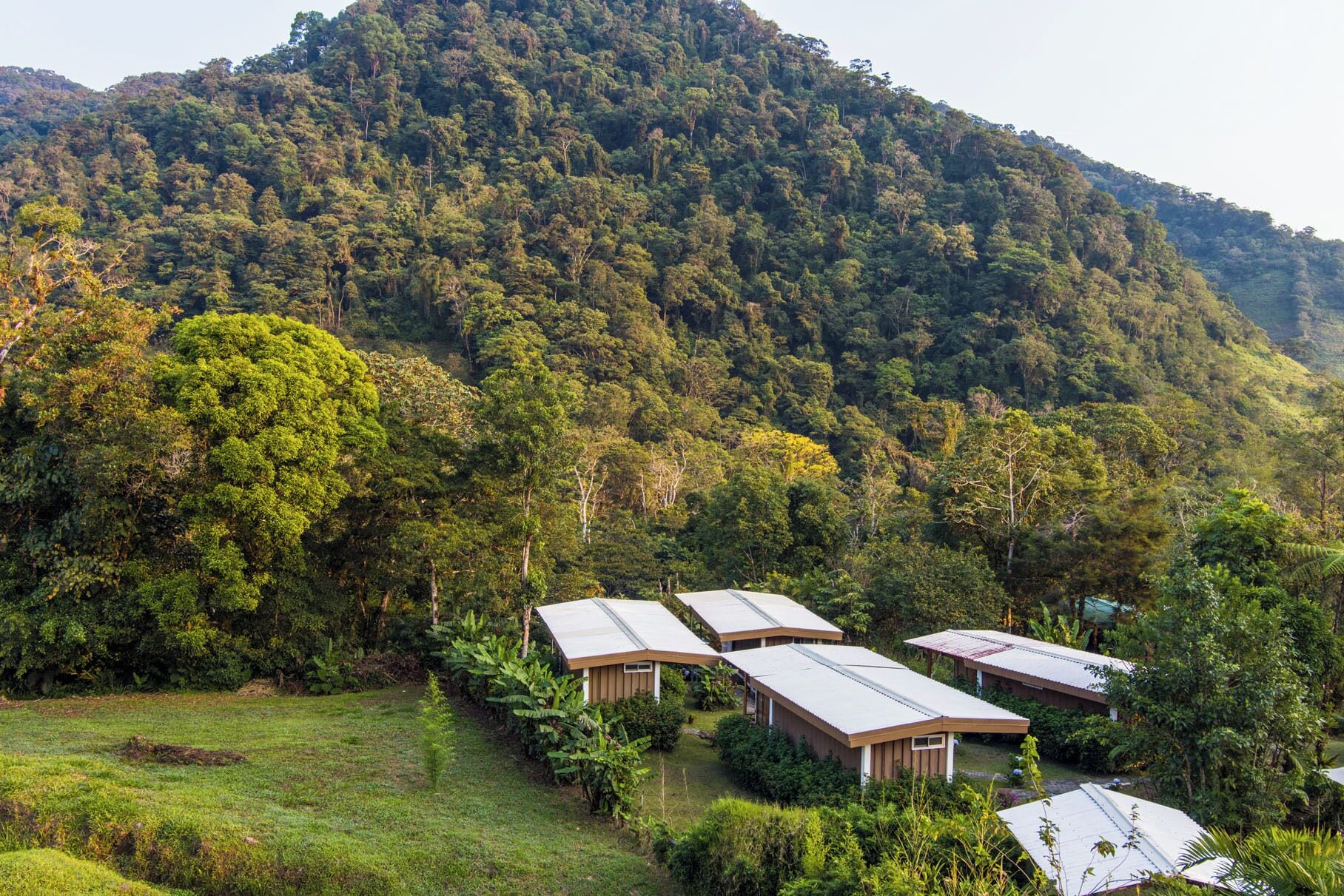 A cluster of buildings with flat roofs, surrounded by lush greenery and a forested mountain in the background.