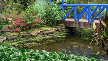 En have med en lille dam, en træbro og mange planter og blomster.