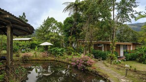 Een rustige tuin met een vijver, houten constructies en weelderige begroeiing.