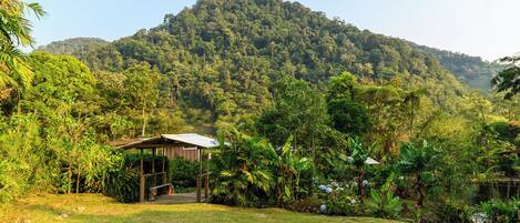 A small wooden structure with a roof, surrounded by lush greenery and a hill in the background.