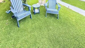 A courtyard with three Adirondack chairs, a small table, and a palm tree.