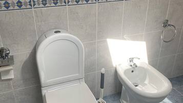 Hair dryer, towels, soap, toilet paper