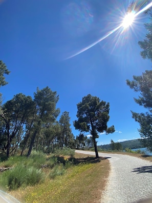 Miscellaneous - Cantinho Doce (Faia)