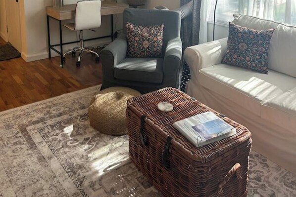 TV connectée, cheminée, livres, médiathèque